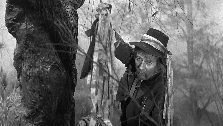 кадр из фильма Jak se stal hastrman v Rokytnici ševcem