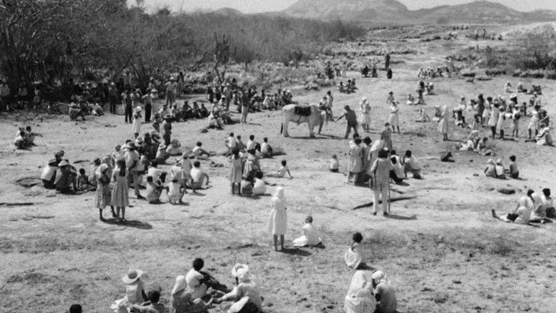 кадр из фильма Ружья