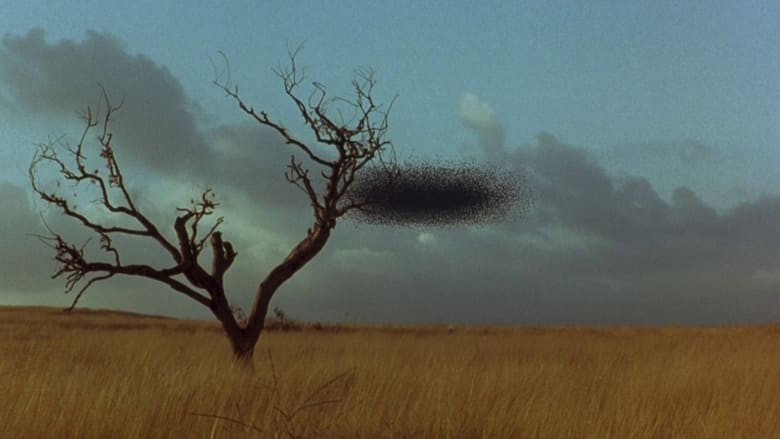 кадр из фильма Кэндимэн 2: Прощание с плотью