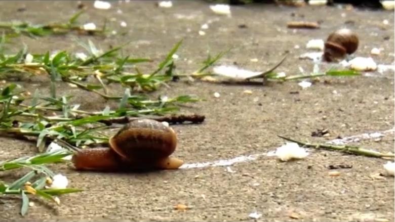 кадр из фильма Hurto Libre