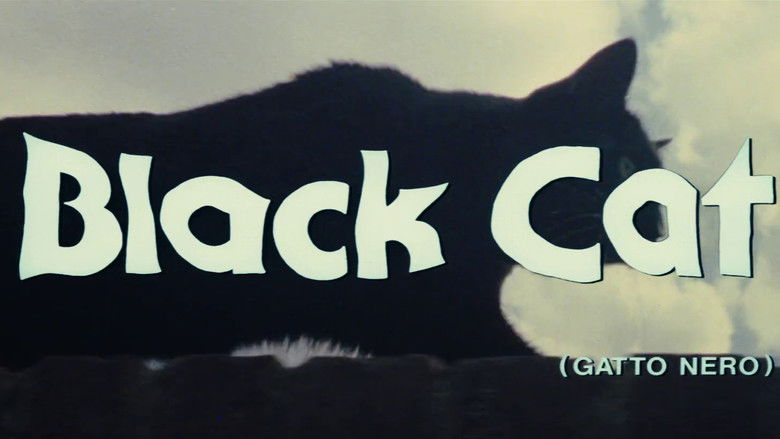 кадр из фильма Чёрный кот