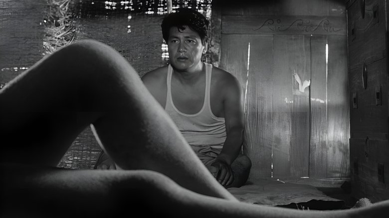 кадр из фильма Женщина в песках