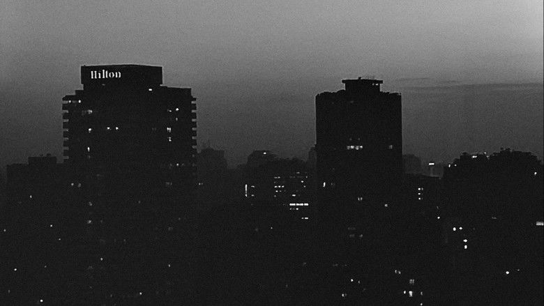 кадр из фильма O Jardim