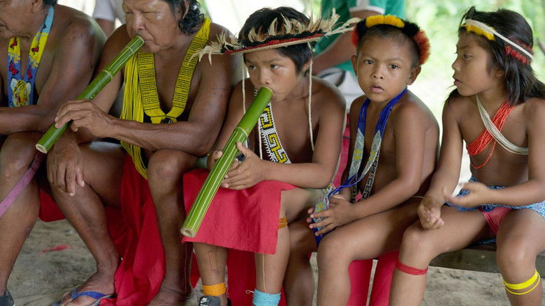 кадр из фильма Amazonie, les murmures de la forêt