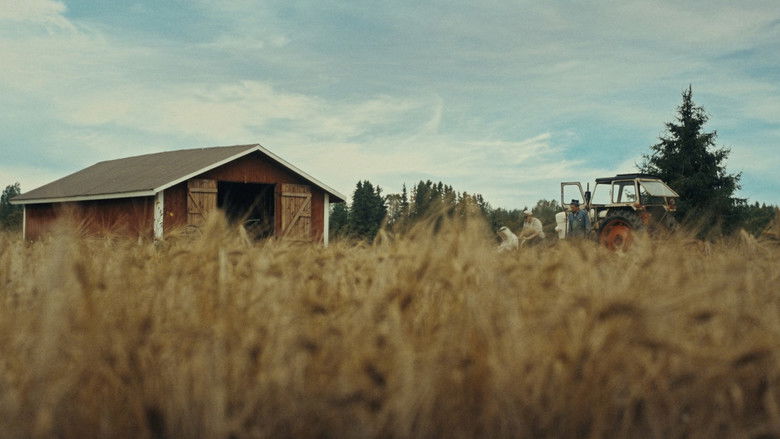 кадр из фильма Timo: the Lord of Potato