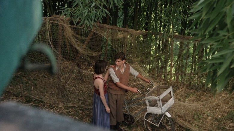 кадр из фильма Пансион страха