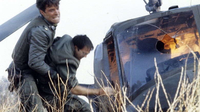 кадр из фильма More American Graffiti