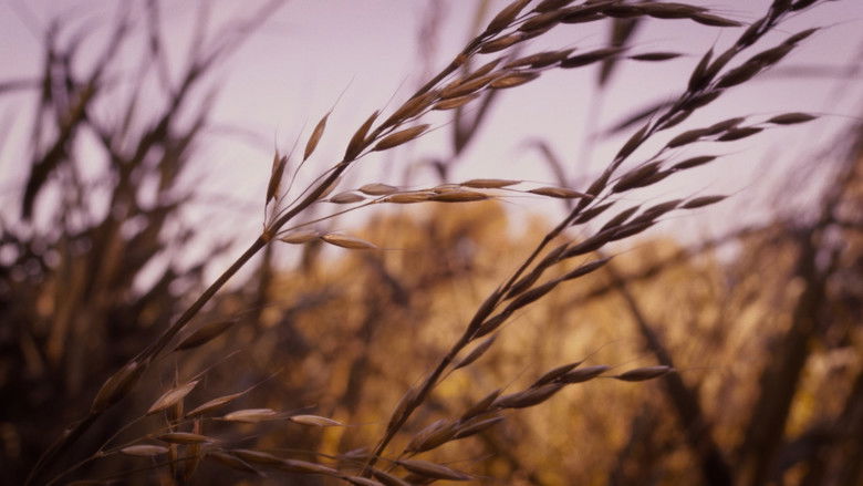 кадр из фильма Geluid van het Einde