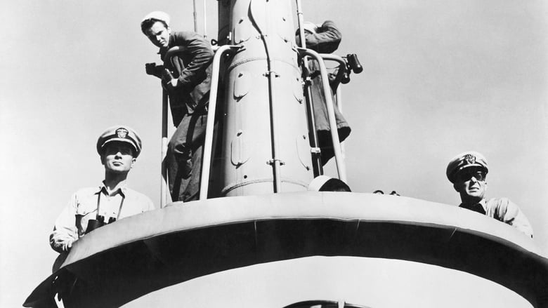 кадр из фильма Морские ведьмы