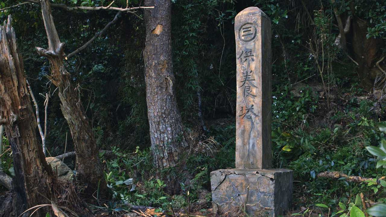 кадр из фильма 綠色牢籠