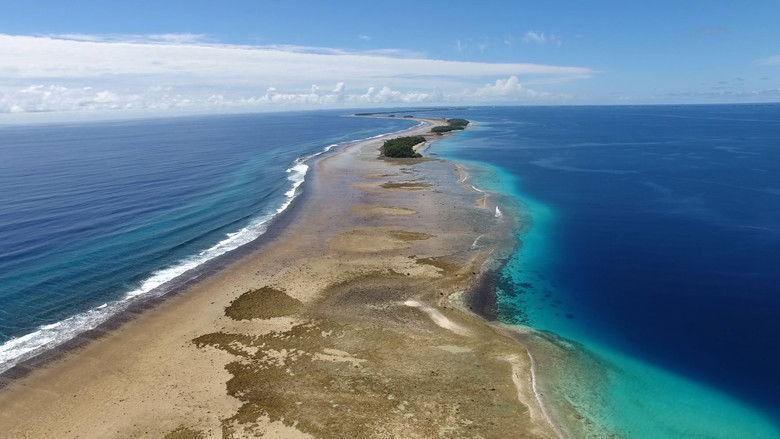 кадр из фильма One Word