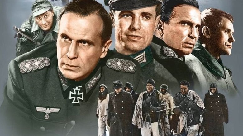 кадр из фильма Собаки, хотите жить вечно?