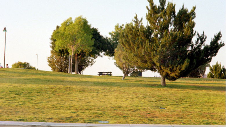 кадр из фильма The Last Conversation