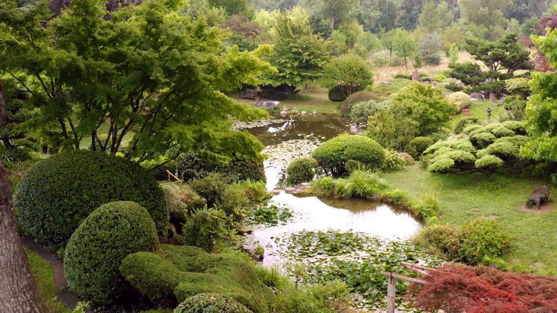 кадр из фильма Les Trésors des plus beaux Jardins français