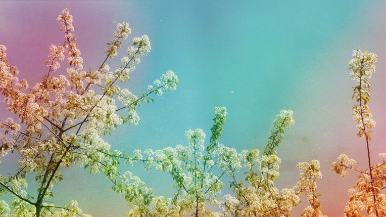 кадр из фильма První máj