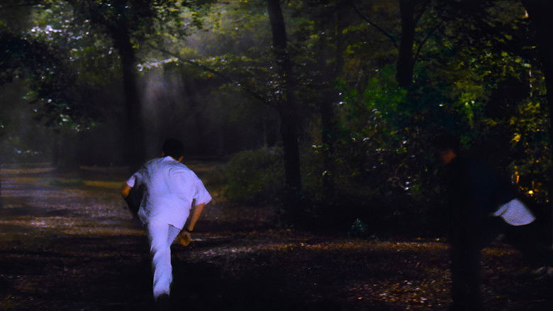 кадр из фильма Красота