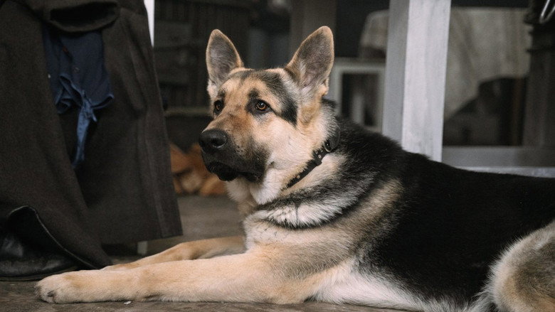 кадр из фильма Трезорка