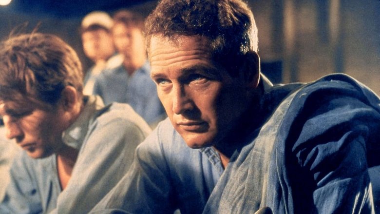кадр из фильма Paul Newman, l'intranquille