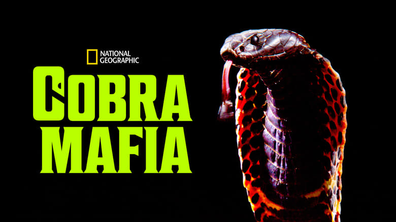кадр из фильма Cobra Mafia