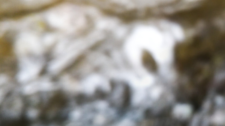 кадр из фильма Metamorfose