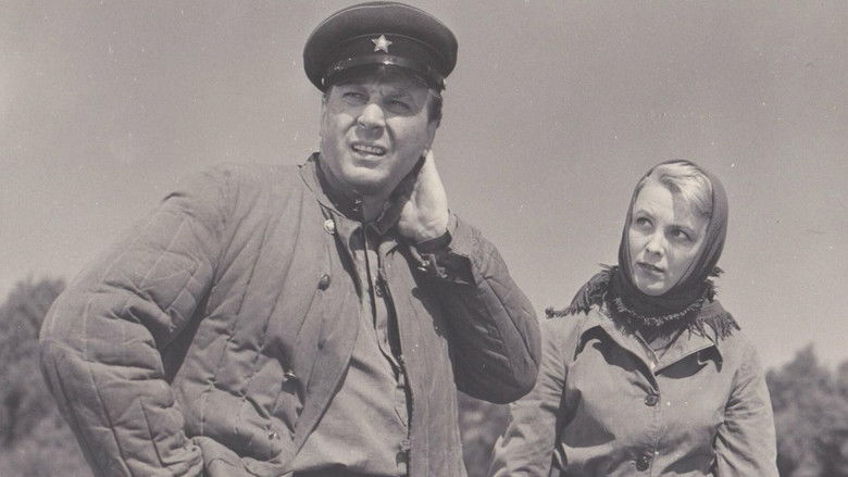 Родная кровь