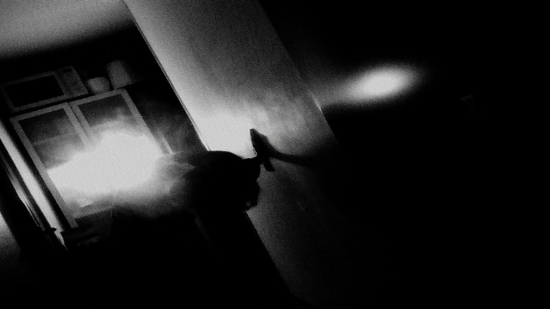 кадр из фильма Kodak