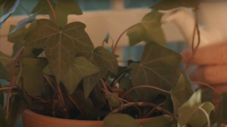 кадр из фильма Friends of Mine: “Mental Health”