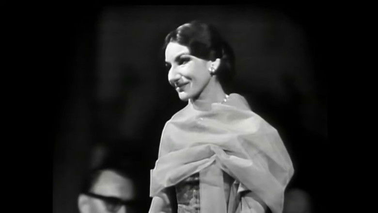 кадр из фильма Maria Callas in Concert - Hamburg 1959 and 1962