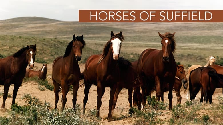 кадр из фильма Horses of Suffield