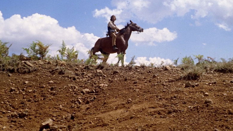 кадр из фильма Джанго, стреляй...