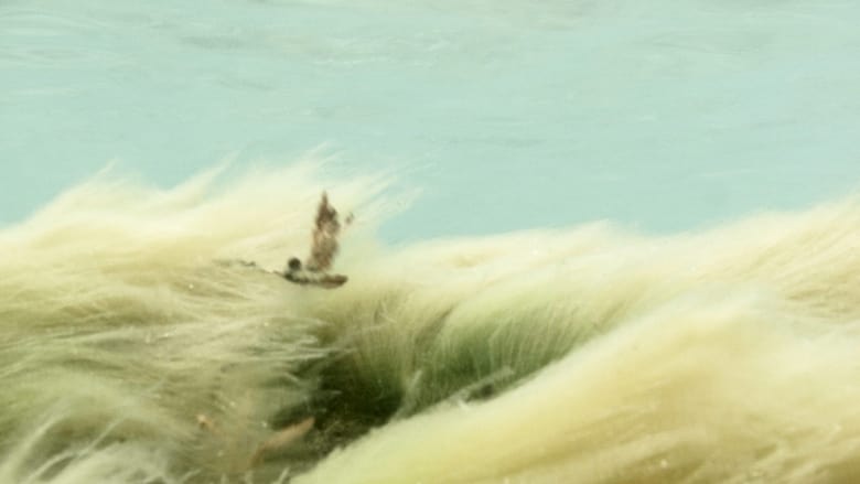 кадр из фильма Wildness of Waves
