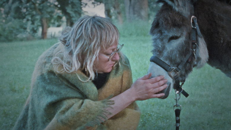 кадр из фильма Donkey Days