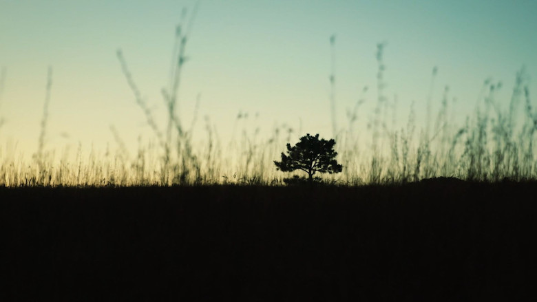 кадр из фильма A Death Worth Living For