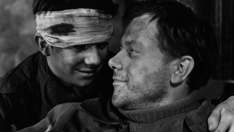 кадр из фильма Дороги борьбы