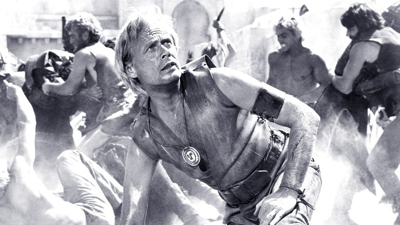 кадр из фильма Корабли викингов