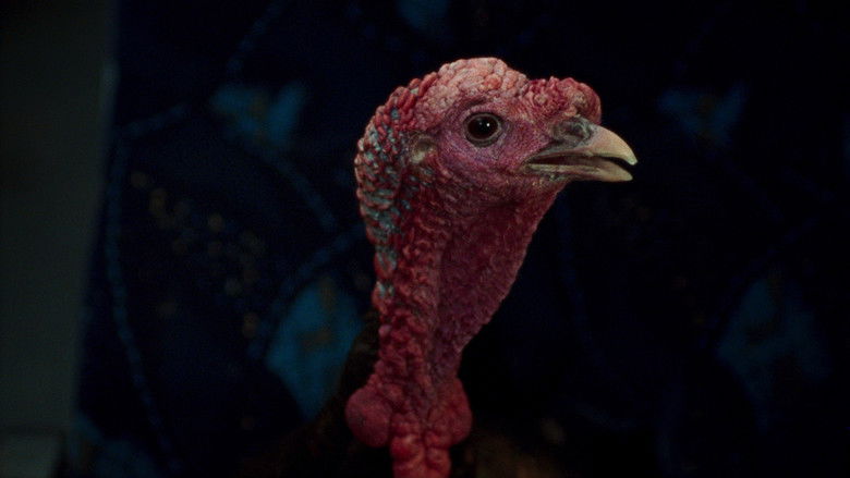 кадр из фильма Универсальный язык