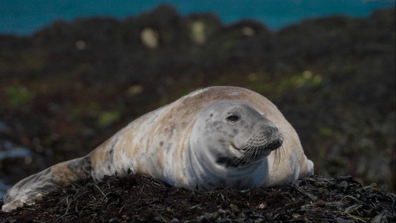 кадр из фильма The Last Ferryman