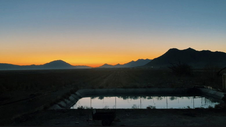 кадр из фильма ترک