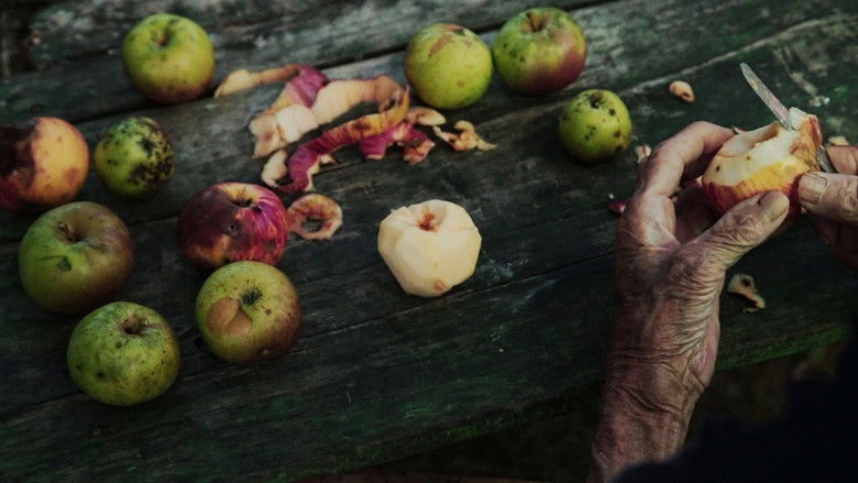 кадр из фильма И наступает ночь