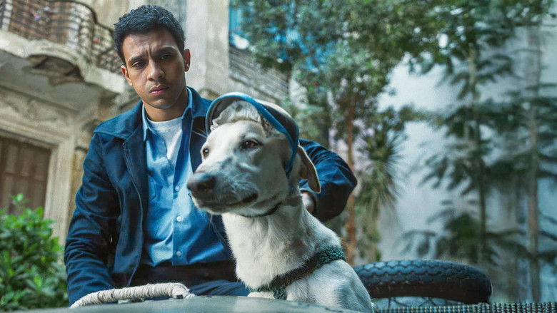 кадр из фильма البحث عن منفذ لخروج السيد رامبو