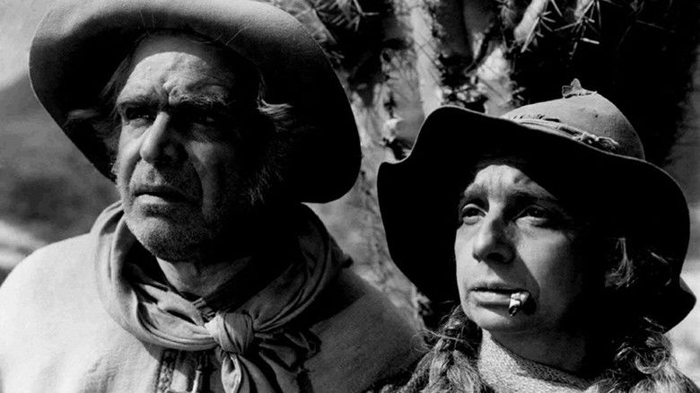 Война гаучо