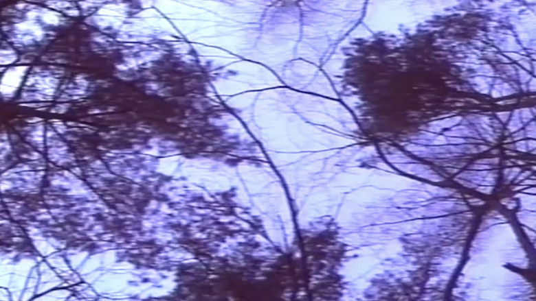 кадр из фильма 官能の森の美女