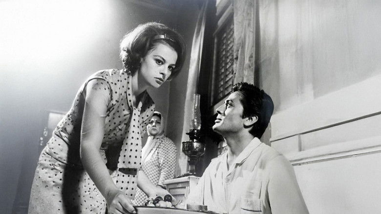 кадр из фильма Sevgim ve Gururum