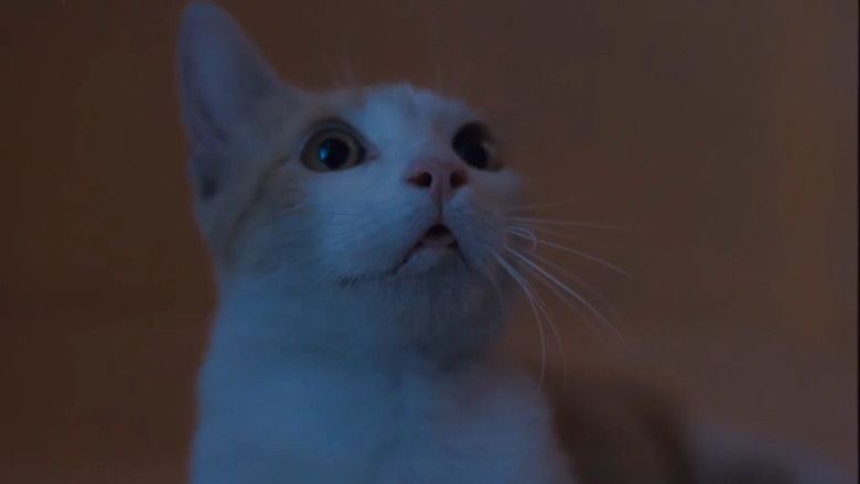 кадр из фильма Мебиус