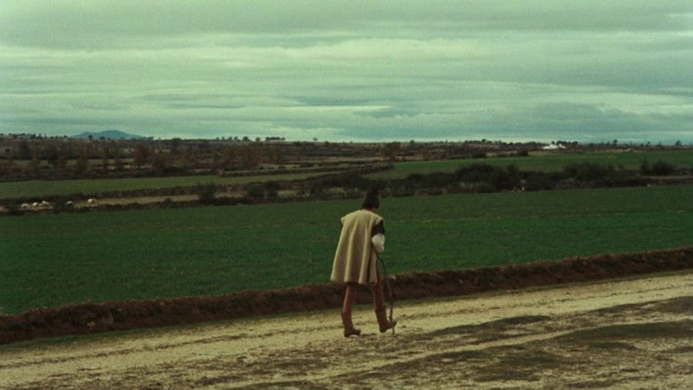 кадр из фильма Veredas