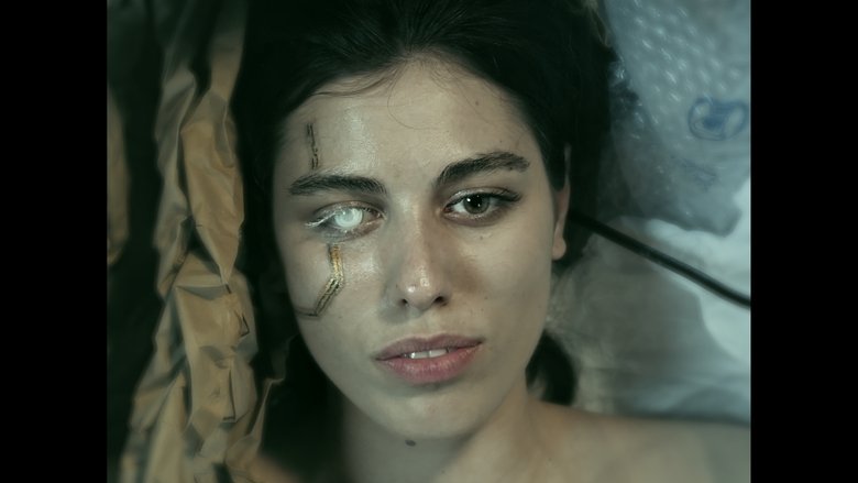 кадр из фильма ResoNumero0051