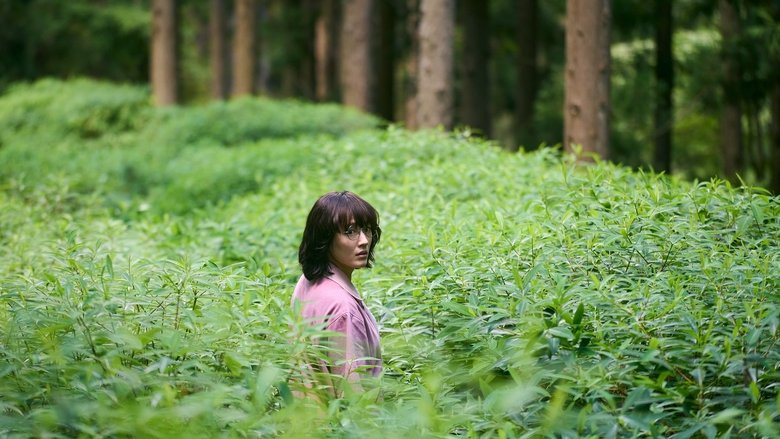 кадр из фильма ルート29