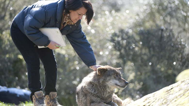 кадр из фильма Doñana