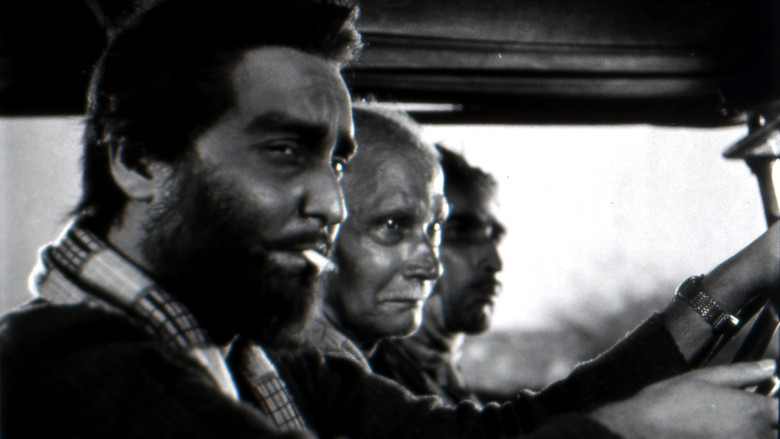 кадр из фильма Поездка