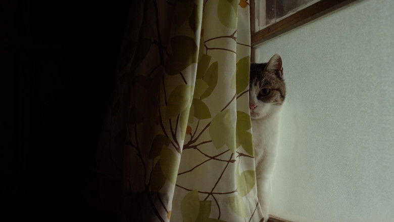 кадр из фильма Маленький лес. Лето, осень